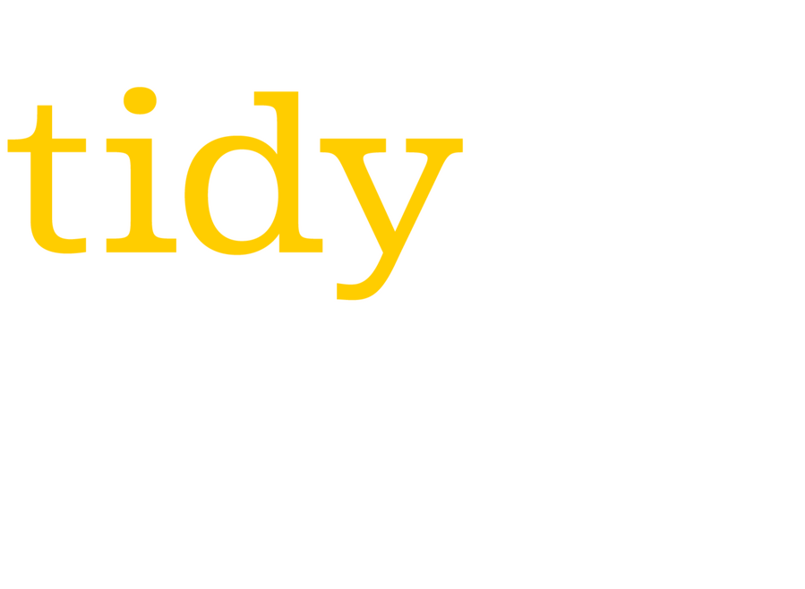 Tidy Socials Logo